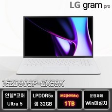 지금 당장 봐야할 16zd90sp-gx59k 할인 정보 탑 10