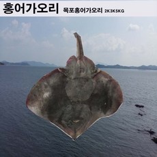 경제적인 가오리 추천 아이템 탑 10