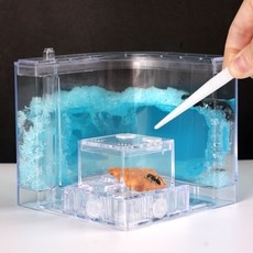 특가 개미집 인기 제품 리스트 10