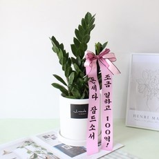 최고의 선택 개업화환 할인 제품 탑 10