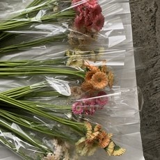 할인정보 거베라 인기 제품 상위 10