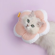 할인정보 고양이넥카라 추천 정보 BEST 10