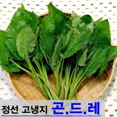 최고의 선택 곤드레 추천 정보 BEST 10