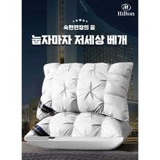 최고의 선택 구름베개 할인 상품 TOP 10