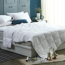 할인정보 구스여름이불 할인 상품 상위 10