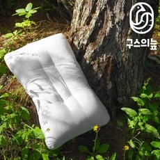 이거 좋더라구요 구스의늪 할인 상품 BEST 10
