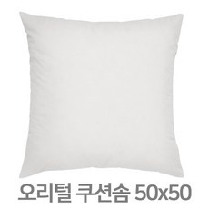 지금 당장 봐야할 구스쿠션 인기 아이템 리스트 10