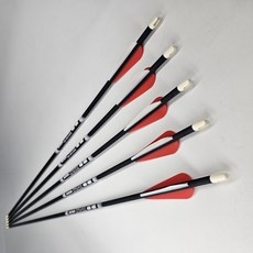 최고의 선택 국궁화살 최저가 제품 리스트 10