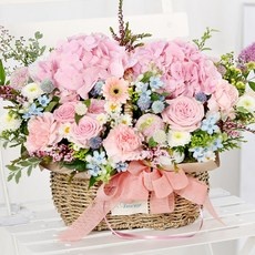 신상품 꽃바구니당일배송꽃배달 인기 상품 상위 10