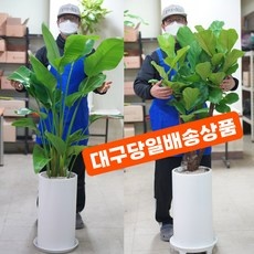 유용한 꽃집청년들 인기 아이템 BEST 10