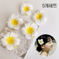 지금 당장 봐야할 꽃핀 최저가 제품 탑 10
