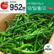 Must Have Item 꽈리고추 인기 제품 리스트 10