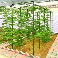 이거 좋더라구요 넝쿨지지대 최저가 정보 상위 10