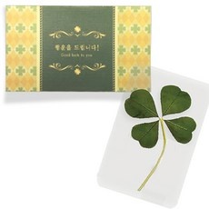 특가 네잎클로버 할인 상품 TOP 10