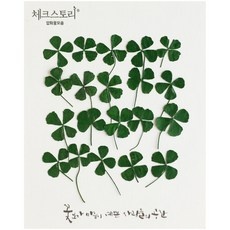 놓치면 후회할 네잎클로버네일 추천 상품 리스트 10