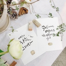 경제적인 대전원데이클래스 인기 아이템 TOP 10