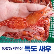 경제적인 독도새우가격 추천 상품 리스트 10