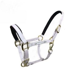 Must Have Item 마방굴레 추천 제품 TOP 10