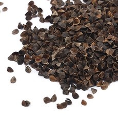 할인정보 메밀껍질 추천 제품 BEST 10