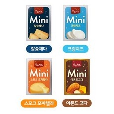 Must Have Item 미니치즈 인기 정보 베스트 10