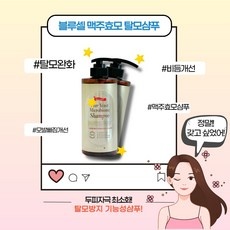 할인정보 바이옴맥주효모탈모샴푸 할인 제품 상위 10