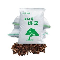 놓치면 후회할 바크 추천 아이템 TOP 10