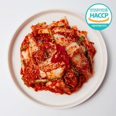 가성비 배추겉절이 할인 상품 탑 10