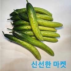 최고의 선택 백오이 인기 상품 탑 10