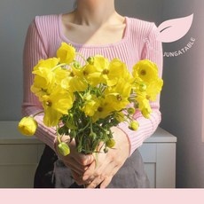 세일 버터플라이라넌큘러스 인기 아이템 상위 10