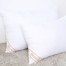 놓치면 후회할 베개1+1 최저가 상품 리스트 10