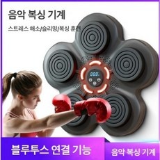 가성비 벽걸이샌드백 최저가 아이템 상위 10
