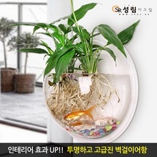 Must Have Item 벽걸이수족관 추천 상품 탑 10