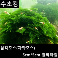 유용한 삼각모스 할인 정보 베스트 10