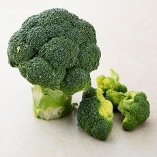 가성비 생글로리 인기 상품 리스트 10