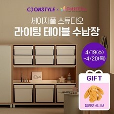 최저가 세이지폴수납장 추천 아이템 BEST 10