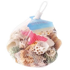 세일 소라껍데기 할인 아이템 베스트 10