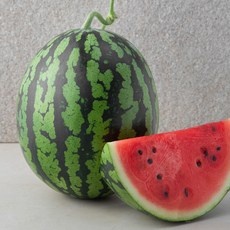 이거 좋더라구요 수박 추천 제품 베스트 10
