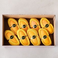 유용한 수플린망고 할인 제품 탑 10