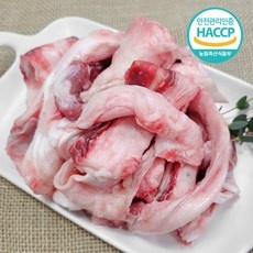 지금 당장 봐야할 스지 인기 아이템 상위 10