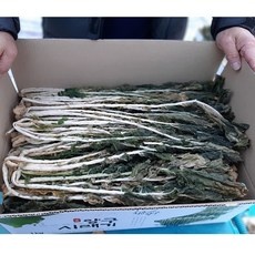 유용한 시래기 인기 아이템 상위 10