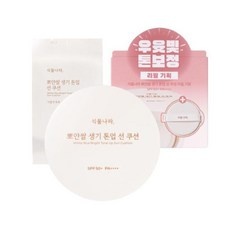 Must Have Item 식물나라선쿠션 추천 정보 리스트 10