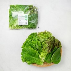 특가 쌈채소 최저가 정보 탑 10