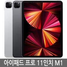 최고의 선택 아이패드프로3세대11인치 할인 아이템 상위 10