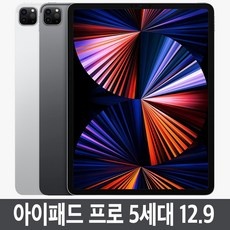 놓치면 후회할 아이패드프로5세대12.9 할인 제품 상위 10