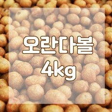 신상품 알알이 최저가 아이템 TOP 10