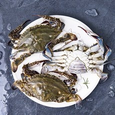 신상품 암꽃게판매 추천 아이템 탑 10