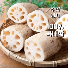 Must Have Item 연근 할인 정보 상위 10