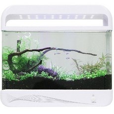 최고의 선택 열대어수족관 최저가 상품 BEST 10