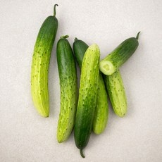 경제적인 오이 추천 아이템 베스트 10