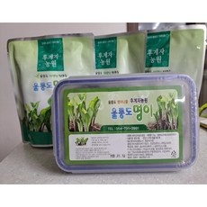 놓치면 후회할 울릉도명이나물장아찌 할인 상품 TOP 10